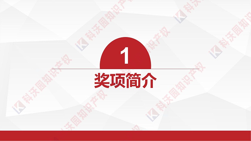 中国智能交通协会科学技术奖-科技奖科普PPT_02