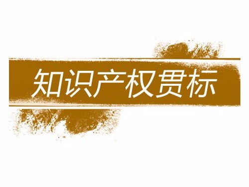 从知识产权贯标视角看初创科技企业知识产权风险防范
