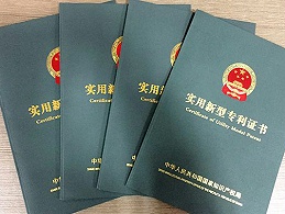 实用新型蓬勃发展 保护创新潜能无限
