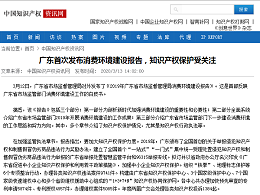 广东首次发布消费环境建设报告，知识产权保护受关注