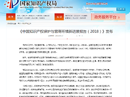 《中国知识产权保护与营商环境新进展报告（2018）》发布