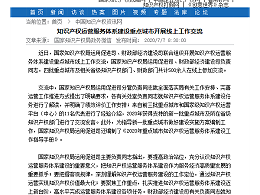 知识产权运营服务体系建设重点城市开展线上工作交流