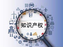 知识产权保护，助力小型企业发展